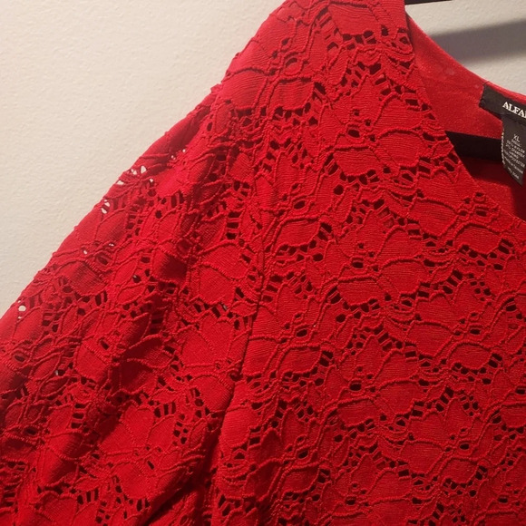 Alfani Red Eyelet Lace Overlay with Back Exposed Zipper in Size XL - Picture 6 of 9